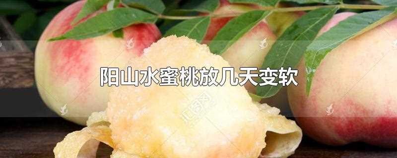 阳山水蜜桃几月份成熟)?