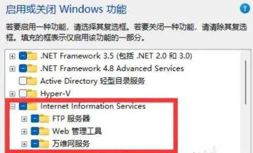 Win11怎么打开IIS管理器？Win11启用IIS管理器方法介绍