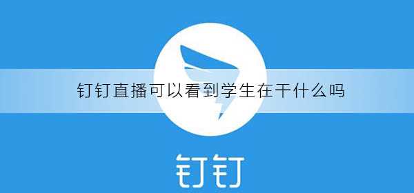 钉钉直播可以看到学生在干什么吗？