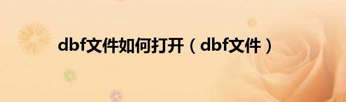 dbf文件_dbf文件怎么打开?(dbf文件怎么打开)