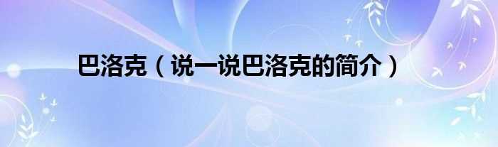 说一说巴洛克的简介_巴洛克(巴洛克)