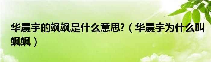 华晨宇为什么叫飒飒_华晨宇的飒飒是什么意思?(飒飒)