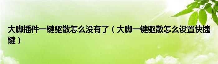 大脚一键驱散怎么设置快捷键_大脚插件一键驱散怎么没有了?(大脚一键驱散)