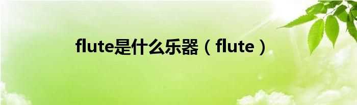 flute_flute是什么乐器?(flute)