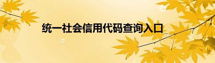 统一社会信用代码查询入口(统一社会信用代码查询)