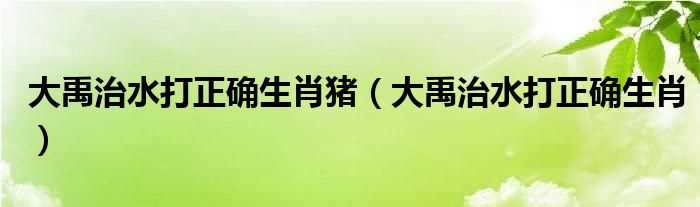 大禹治水打正确生肖_大禹治水打正确生肖猪(大禹治水打正确生肖)