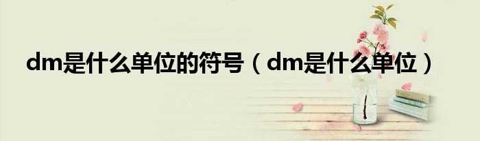 dm是什么单位_dm是什么单位的符号?(dm是什么单位)