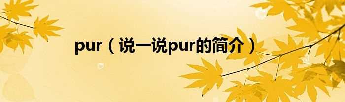 说一说pur的简介_pur(pur)