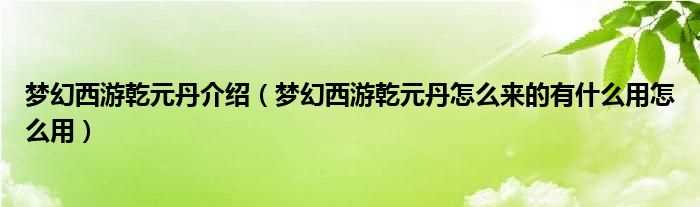 梦幻西游乾元丹怎么来的有什么作用怎么用_梦幻西游乾元丹介绍?(梦幻西游乾元丹)