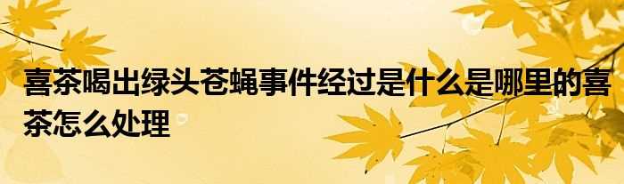 喜茶喝出绿头苍蝇事件经过是什么是哪里的喜茶怎么处理??(喜茶喝出苍蝇)