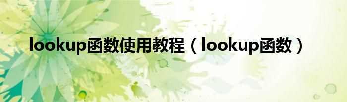 lookup函数_lookup函数使用教程(lookup)