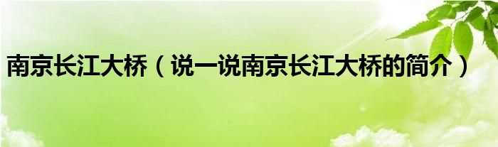 说一说南京长江大桥的简介_南京长江大桥(南京长江大桥)