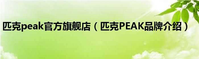 匹克PEAK品牌介绍_匹克peak官方旗舰店(匹克)