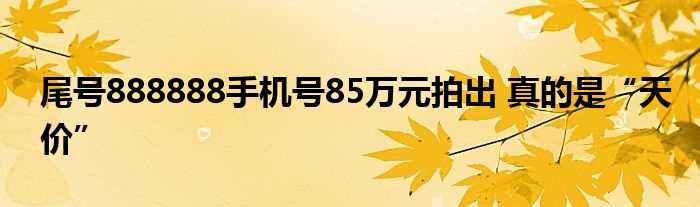 尾号888888手机号85万元拍出_真的是“天价”(尾号888888手机号法拍85万)