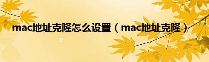 mac地址克隆_mac地址克隆怎么设置?(mac地址克隆)