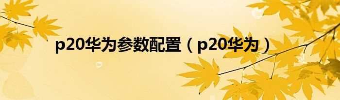 p20华为_p20华为参数配置(华为p20)