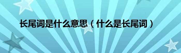 什么是长尾词_长尾词是什么意思?(长尾词)