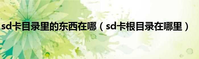 sd卡根目录在哪里_sd卡目录里的东西在哪?(sd卡根目录下)