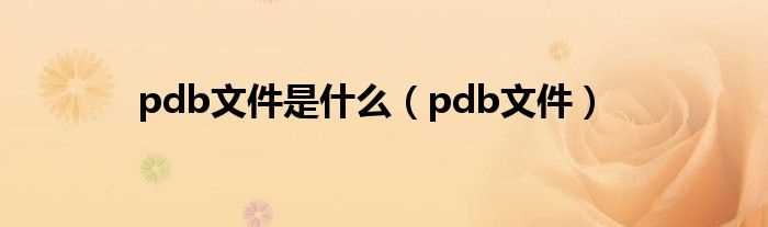 pdb文件_pdb文件是什么?(pdb)