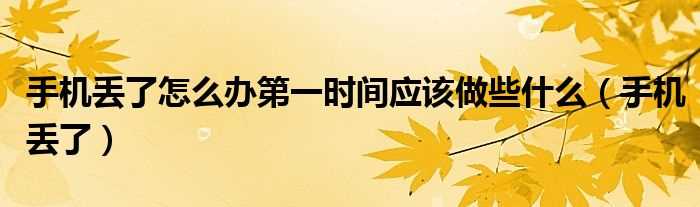 手机丢了_手机丢了怎么办第一时间应该做些什么?(手机丢了)