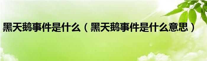 黑天鹅事件是什么意思_黑天鹅事件是什么?(黑天鹅事件)