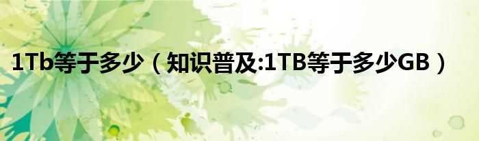 知识普及:1TB等于多少GB_1Tb等于多少?(1tb)