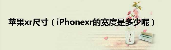 iPhonexr的宽度是多少呢_苹果xr尺寸?(苹果xr尺寸)