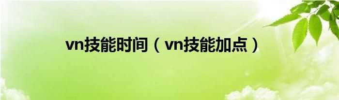 vn技能加点_vn技能时间(vn技能加点)