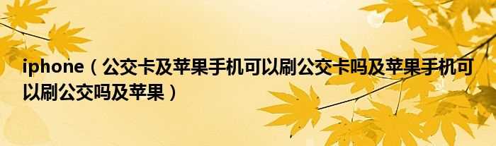 公交卡及苹果手机可以刷公交卡吗?及苹果手机可以刷公交吗?及苹果_iphone(iPhone 公交卡)