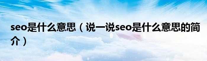 说一说seo是什么意思的简介_seo是什么意思?(seo是什么意思)