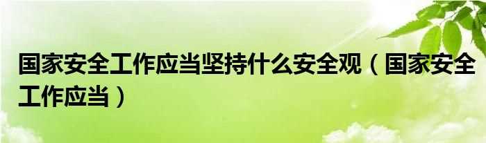 国家安全工作应当_国家安全工作应当坚持什么安全观?(国家安全工作应当坚持)