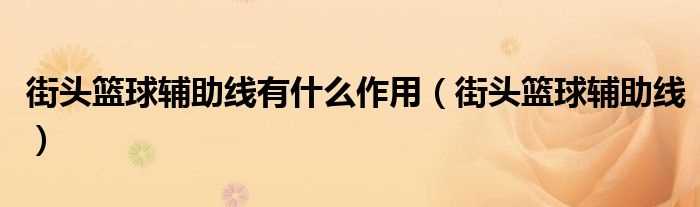 街头篮球辅助线_街头篮球辅助线有什么作用?(街头篮球辅助线)