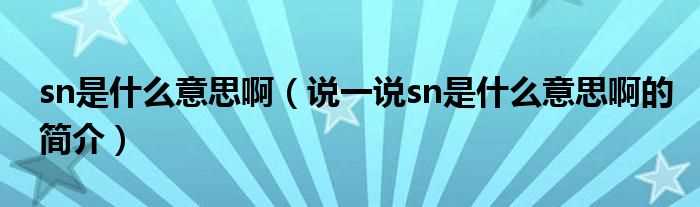 说一说sn是什么意思啊的简介_sn是什么意思啊?(sn是什么意思啊)