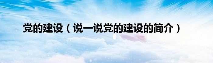 说一说党的建设的简介_党的建设(党的建设)