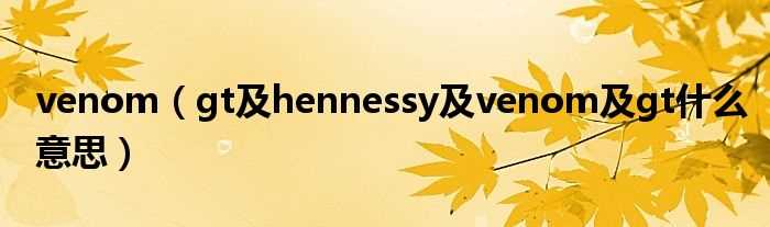 gt及hennessy及venom及gt什么意思_venom?(帝豪gt跑车)