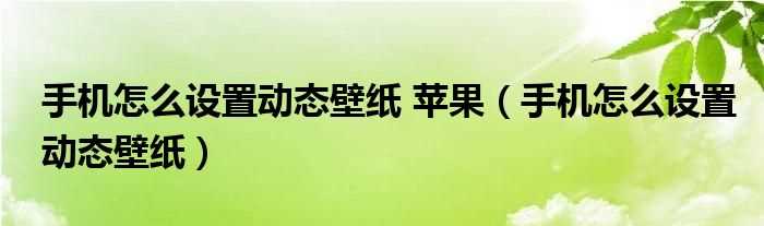 手机怎么设置动态壁纸_手机怎么设置动态壁纸?苹果?(苹果手机怎么设置动态壁纸)