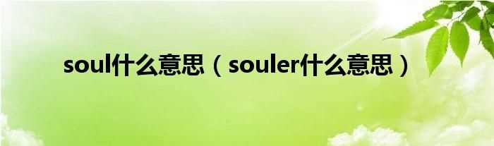 souler什么意思_soul什么意思?(soul什么意思)