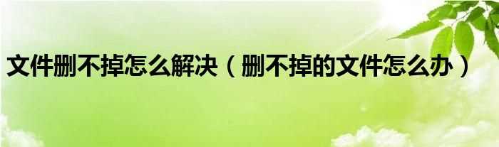 删不掉的文件怎么办_文件删不掉怎么解决?(有文件删不掉怎么办)