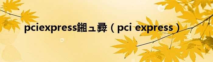 pci_express_pciexpress鎺ュ彛(pci express)