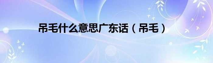 吊毛_吊毛什么意思广东话?(屌毛)