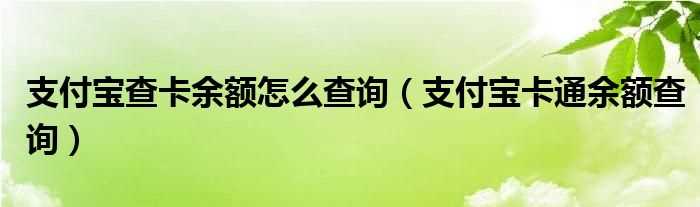 支付宝卡通余额查询_支付宝查卡余额怎么查询?(支付宝卡通余额查询)