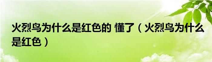 火烈鸟为什么是红色_火烈鸟为什么是红色的_懂了?(火烈鸟的羽毛为什么是红色的)