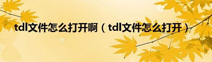 tdl文件怎么打开_tdl文件怎么打开啊?(tdl文件怎么打开)