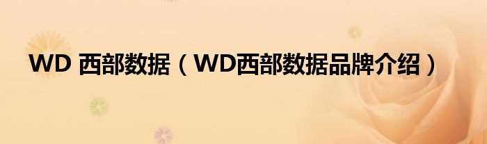 WD西部数据品牌介绍_WD_西部数据(wd)