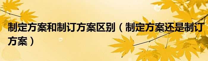 制定方案还是制订方案_制定方案和制订方案区别(制定方案)