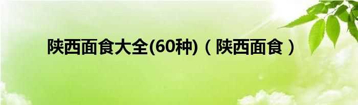 60种_陕西面食大全(陕西面食)(陕西特色面食)