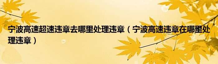 宁波高速违章在哪里处理违章_宁波高速超速违章去哪里处理违章?(宁波交通违章处理点)