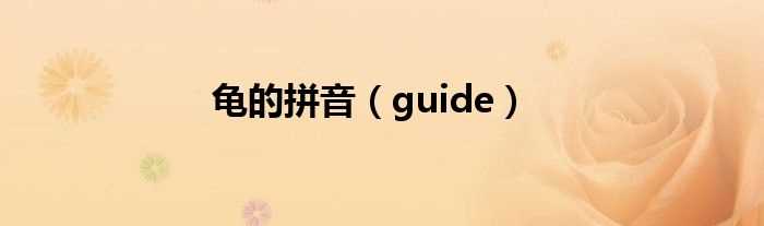 guide_龟的拼音(龟的拼音)