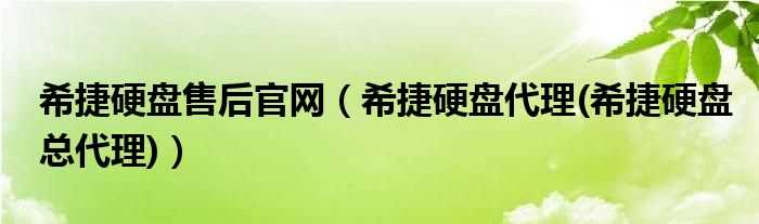 希捷硬盘代理(希捷硬盘总代理_希捷硬盘售后官网)(希捷硬盘官网)