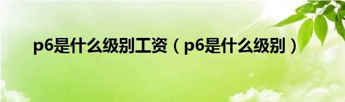 p6是什么级别_p6是什么级别工资?(p6)